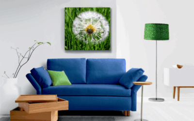 PAULA  – das kleinste Schlafsofa für jeden Raum in Dresden