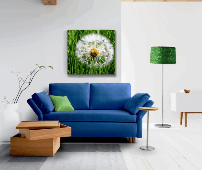 PAULA  – das kleinste Schlafsofa für jeden Raum in Dresden